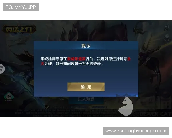 龙尊娱乐场下载官方渠道，确保每一次游戏体验都安全可靠